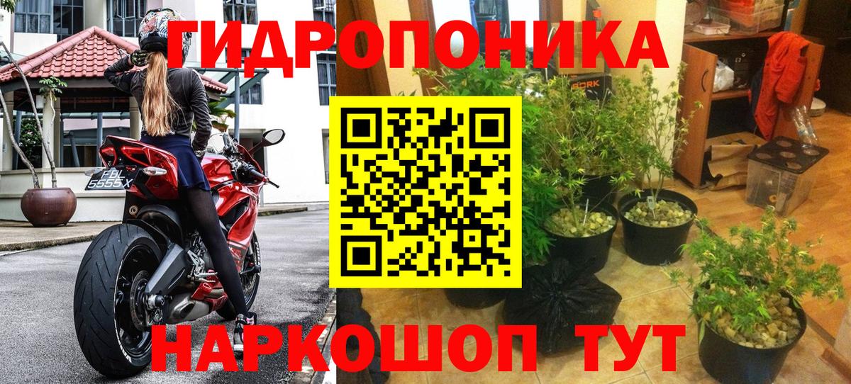 Бошки марихуана конопля Нижнеудинск